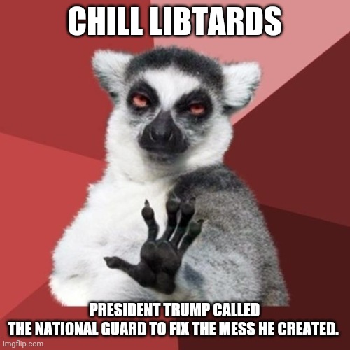 Trump fixed it. | CHILL LIBTARDS; PRESIDENT TRUMP CALLED THE NATIONAL GUARD TO FIX THE MESS HE CREATED. | image tagged in donald trump,trump supporters,maga,conservatives,joe biden,election 2020 | made w/ Imgflip meme maker