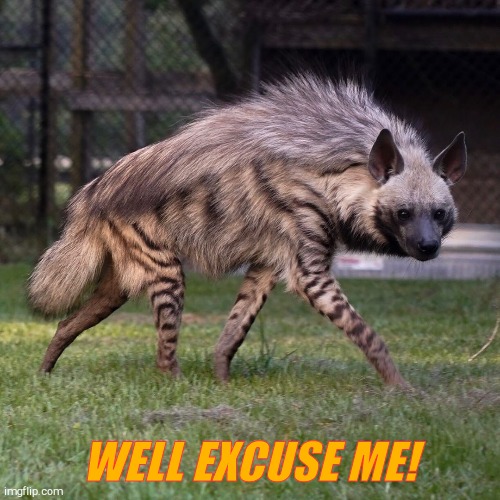 WELL EXCUSE ME! | made w/ Imgflip meme maker