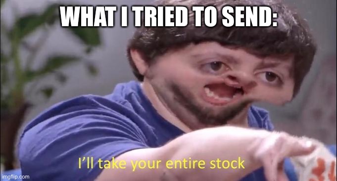 I'll take your entire stock | WHAT I TRIED TO SEND: | image tagged in i'll take your entire stock | made w/ Imgflip meme maker