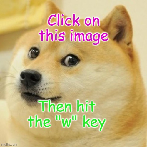 do it | Click on this image; Then hit the "w" key | image tagged in memes,doge,funny,funny memes,hahaha | made w/ Imgflip meme maker