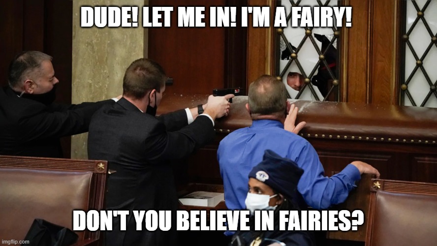 DUDE! LET ME IN! I'M A FAIRY! DON'T YOU BELIEVE IN FAIRIES? | image tagged in memes | made w/ Imgflip meme maker