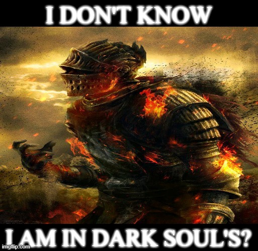 I DONT KNOW. I AM IN DARK SOUL'S?? | I DON'T KNOW; I AM IN DARK SOUL'S? | image tagged in memes,dark souls | made w/ Imgflip meme maker