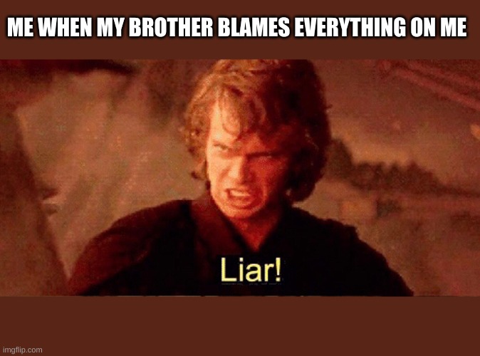 Anakin Liar! | ME WHEN MY BROTHER BLAMES EVERYTHING ON ME | image tagged in anakin liar | made w/ Imgflip meme maker