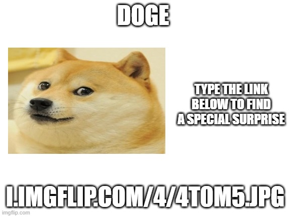 i give hint the surprise has something to do with Doge | DOGE; TYPE THE LINK BELOW TO FIND A SPECIAL SURPRISE; I.IMGFLIP.COM/4/4T0M5.JPG | image tagged in blank white template | made w/ Imgflip meme maker