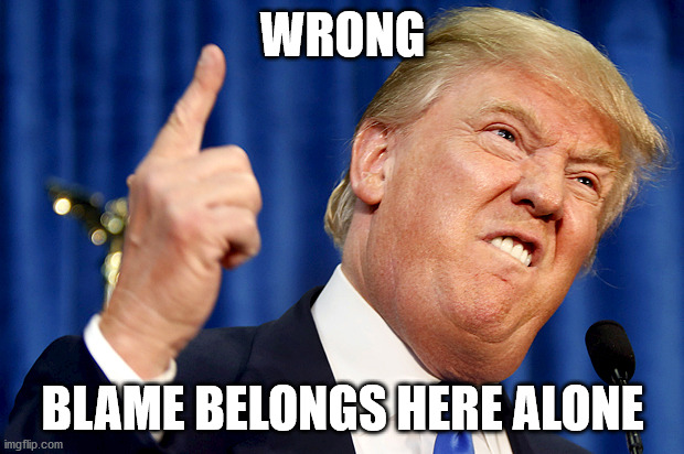 Donald Trump | WRONG BLAME BELONGS HERE ALONE | image tagged in donald trump | made w/ Imgflip meme maker