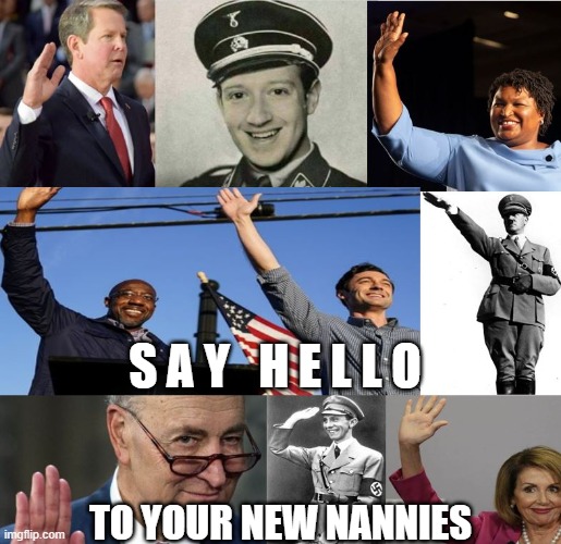 Some old, some new, some borrowed, all blew. | S A Y   H E L L O; TO YOUR NEW NANNIES | image tagged in 2020 elections,pelosi,socialism,chuck schumer,zuckerberg,trump 2020 | made w/ Imgflip meme maker
