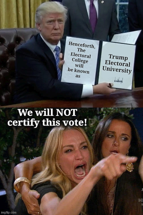 Electoral University | image tagged in trump,electoral,angry cat lady,real housewives | made w/ Imgflip meme maker