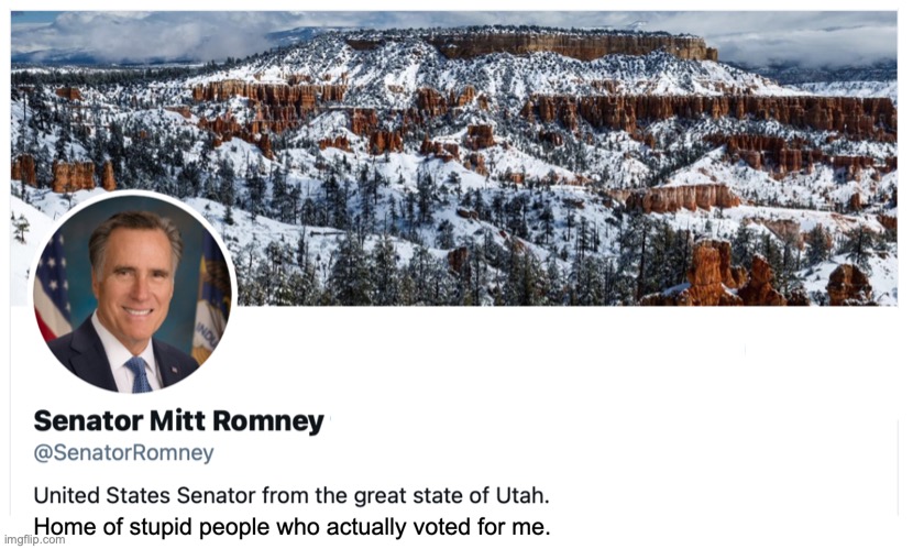 Mitt Romney | image tagged in election 2020 | made w/ Imgflip meme maker