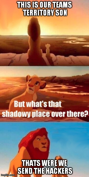 Simba Shadowy Place Meme | THIS IS OUR TEAMS TERRITORY SON THATS WERE WE SEND THE HACKERS | image tagged in memes,simba shadowy place | made w/ Imgflip meme maker