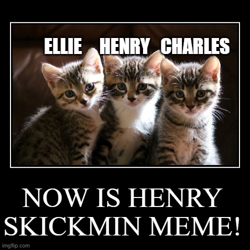 Henry stickmin meme | image tagged in funny,demotivationals,cats,henry stickmin,ellie,memes | made w/ Imgflip demotivational maker