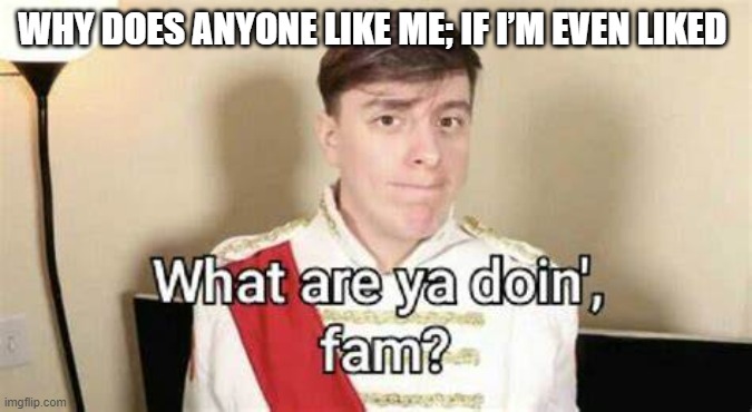 no one likes me :D | WHY DOES ANYONE LIKE ME; IF I’M EVEN LIKED | image tagged in what are ya doing fam | made w/ Imgflip meme maker