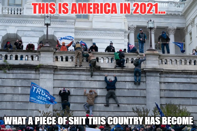 Republican Scum at their best! - Another year, another SHIT SHOW!!!! | THIS IS AMERICA IN 2021... WHAT A PIECE OF SHIT THIS COUNTRY HAS BECOME | image tagged in kill,scumbag republicans,save the earth | made w/ Imgflip meme maker