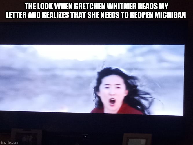 The look when.... | THE LOOK WHEN GRETCHEN WHITMER READS MY LETTER AND REALIZES THAT SHE NEEDS TO REOPEN MICHIGAN | image tagged in michigan,governor,covid-19 | made w/ Imgflip meme maker
