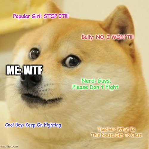 Doge | Popular Girl: STOP IT!!! Bully: NO, I WON'T!!! ME: WTF; Nerd: Guys, Please Don't Fight; Cool Boy: Keep On Fighting; Teacher: What Is This Noise, Get To Class | image tagged in memes,doge | made w/ Imgflip meme maker