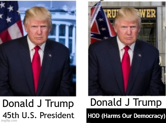 Delete & Redact! | Donald J Trump; Donald J Trump; HOD (Harms Our Democracy); 45th U.S. President | image tagged in never trump,maga,seditious caucus | made w/ Imgflip meme maker