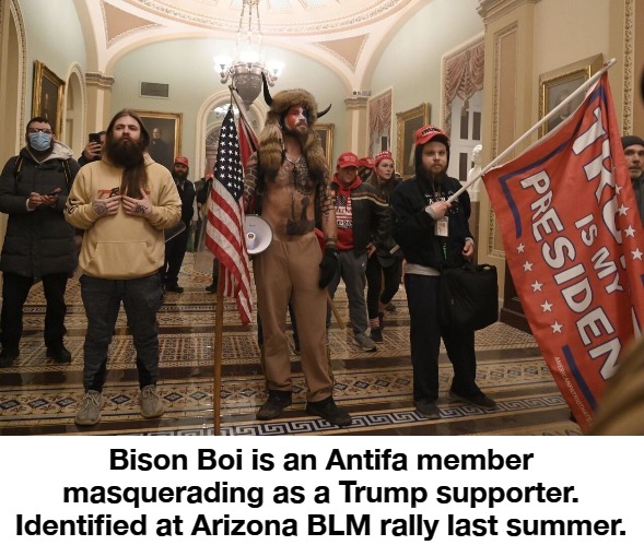 These are NOT Trump supporters and Mitt Romney is no Republican | Bison Boi is an Antifa member masquerading as a Trump supporter. Identified at Arizona BLM rally last summer. | image tagged in bison boi,antifa,black lies matter,cultural marxism,marxism,insurrectionists | made w/ Imgflip meme maker