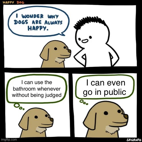 SrGrafo Happy Dog | I can use the bathroom whenever without being judged; I can even go in public | image tagged in srgrafo happy dog | made w/ Imgflip meme maker