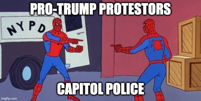 Spider Man Double | PRO-TRUMP PROTESTORS; CAPITOL POLICE | image tagged in spider man double,AdviceAnimals | made w/ Imgflip meme maker