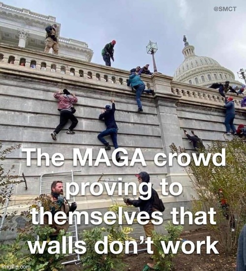image tagged in trump supporters,wall | made w/ Imgflip meme maker
