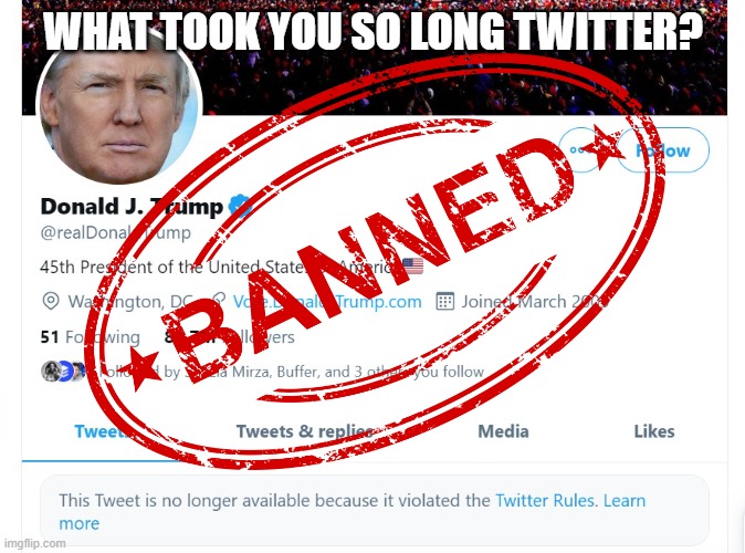 What took you so long? | WHAT TOOK YOU SO LONG TWITTER? | image tagged in donald trump,twitter | made w/ Imgflip meme maker