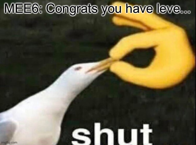 SHUT | MEE6: Congrats you have leve... | image tagged in shut | made w/ Imgflip meme maker