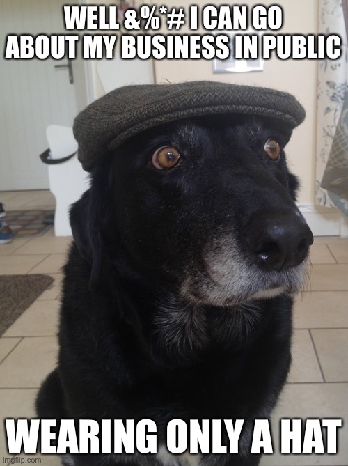 Back In My Day Dog | WELL &%*# I CAN GO ABOUT MY BUSINESS IN PUBLIC WEARING ONLY A HAT | image tagged in back in my day dog | made w/ Imgflip meme maker