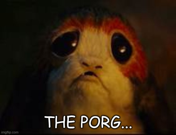 Sad Porg | THE PORG... | image tagged in sad porg | made w/ Imgflip meme maker