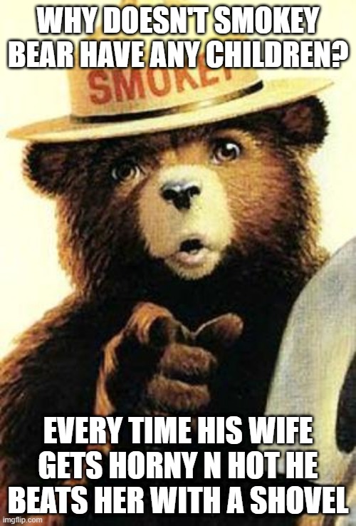 Only You Can Prevent Children | WHY DOESN'T SMOKEY BEAR HAVE ANY CHILDREN? EVERY TIME HIS WIFE GETS HORNY N HOT HE BEATS HER WITH A SHOVEL | image tagged in smokey the bear | made w/ Imgflip meme maker