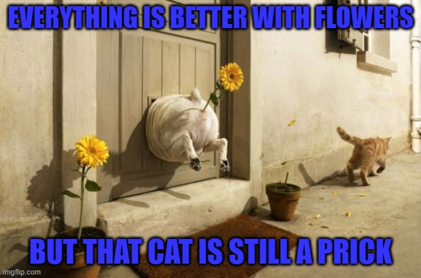 Dogs Vs Cats | EVERYTHING IS BETTER WITH FLOWERS; BUT THAT CAT IS STILL A PRICK | image tagged in dog vs cat,dogs,cats,animals | made w/ Imgflip meme maker