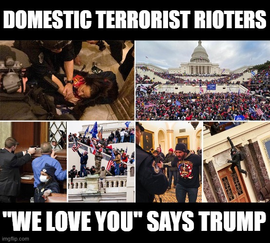 It's Treason Then | DOMESTIC TERRORIST RIOTERS; "WE LOVE YOU" SAYS TRUMP | image tagged in sedition,treason,traitors,domestic terrorists,rioters | made w/ Imgflip meme maker