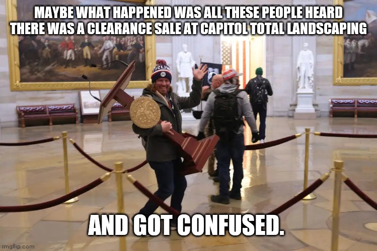 MAYBE WHAT HAPPENED WAS ALL THESE PEOPLE HEARD THERE WAS A CLEARANCE SALE AT CAPITOL TOTAL LANDSCAPING; AND GOT CONFUSED. | image tagged in washington dc,mob,riot,coup | made w/ Imgflip meme maker