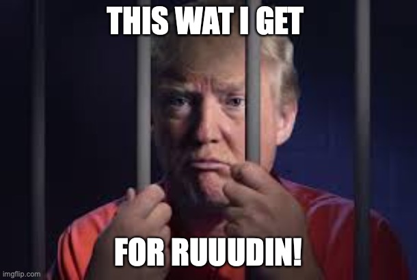 TURMP be RUUDIN | THIS WAT I GET; FOR RUUUDIN! | image tagged in trump jail,traitor trump,donald trump,looser | made w/ Imgflip meme maker