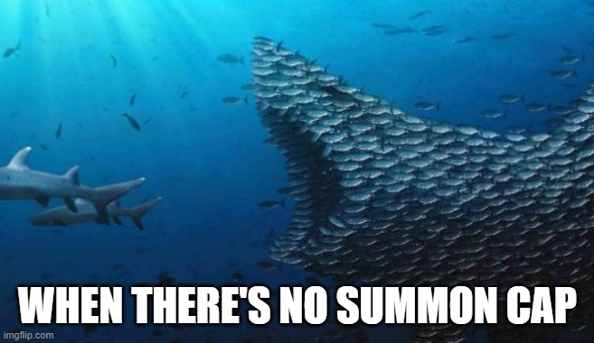 Preparation in Any RPG |  WHEN THERE'S NO SUMMON CAP | image tagged in fish teamwork | made w/ Imgflip meme maker