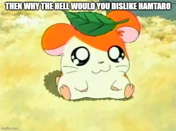 Hamtaro Meme | THEN WHY THE HELL WOULD YOU DISLIKE HAMTARO | image tagged in memes,hamtaro | made w/ Imgflip meme maker