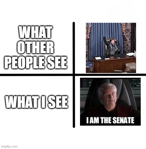 Guy in the Senate (Storming the Capitol) | WHAT OTHER PEOPLE SEE; WHAT I SEE | image tagged in memes,blank starter pack | made w/ Imgflip meme maker