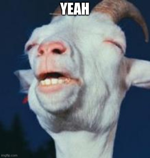 goat | YEAH | image tagged in goat | made w/ Imgflip meme maker