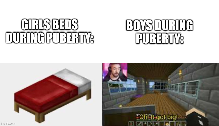 Puberty be like | BOYS DURING PUBERTY:; GIRLS BEDS DURING PUBERTY: | image tagged in puberty,funny,jacksepticeye | made w/ Imgflip meme maker