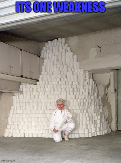 mountain of toilet paper | ITS ONE WEAKNESS | image tagged in mountain of toilet paper | made w/ Imgflip meme maker