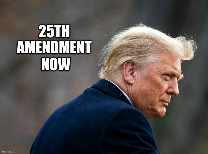 FASCIST | 25TH AMENDMENT; NOW | image tagged in trump,25th amendment,gop,nazi,fascist,failure | made w/ Imgflip meme maker