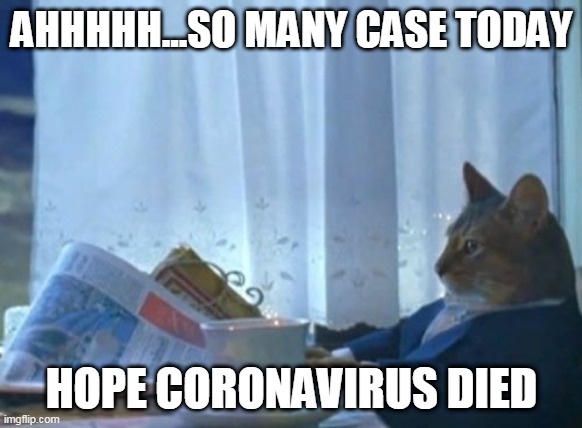 A cat see newspaper | AHHHHH...SO MANY CASE TODAY; HOPE CORONAVIRUS DIED | image tagged in memes,i should buy a boat cat | made w/ Imgflip meme maker
