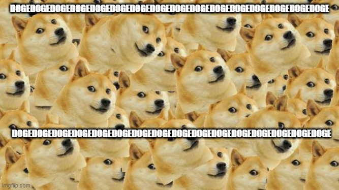 DogeDogeDogeDogeDogeDoge | DOGEDOGEDOGEDOGEDOGEDOGEDOGEDOGEDOGEDOGEDOGEDOGEDOGEDOGEDOGEDOGE; DOGEDOGEDOGEDOGEDOGEDOGEDOGEDOGEDOGEDOGEDOGEDOGEDOGEDOGEDOGEDOGE | image tagged in memes,multi doge | made w/ Imgflip meme maker