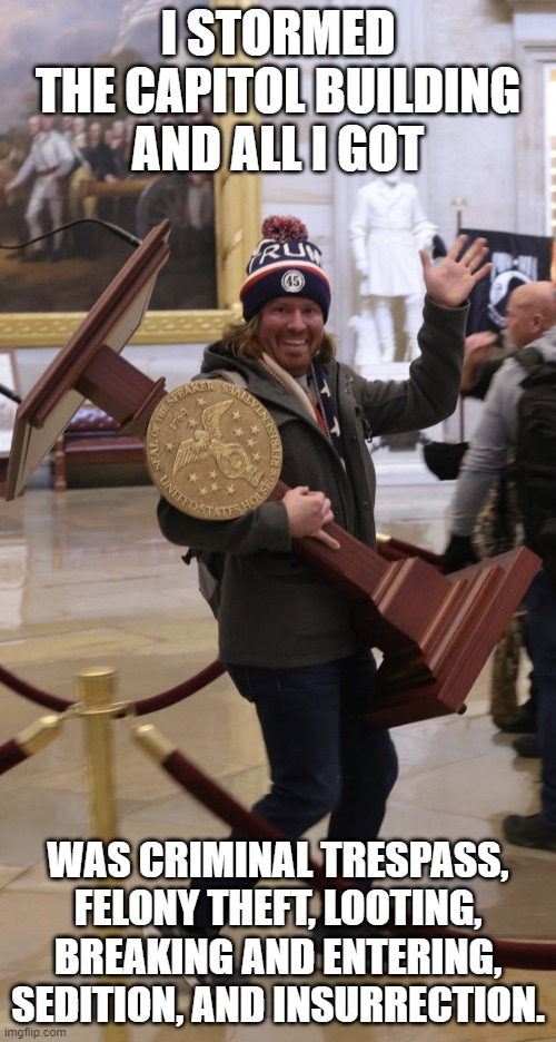 MAGAt participation trophy |  I STORMED THE CAPITOL BUILDING AND ALL I GOT; WAS CRIMINAL TRESPASS, FELONY THEFT, LOOTING, BREAKING AND ENTERING, SEDITION, AND INSURRECTION. | image tagged in magat participation trophy | made w/ Imgflip meme maker