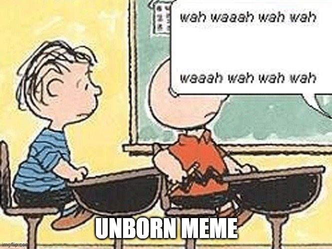 it's in there, somewhere | UNBORN MEME | image tagged in blah blah blah | made w/ Imgflip meme maker