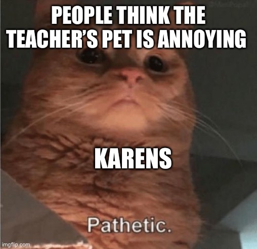 Pathetic Cat | PEOPLE THINK THE TEACHER’S PET IS ANNOYING; KARENS | image tagged in pathetic cat | made w/ Imgflip meme maker