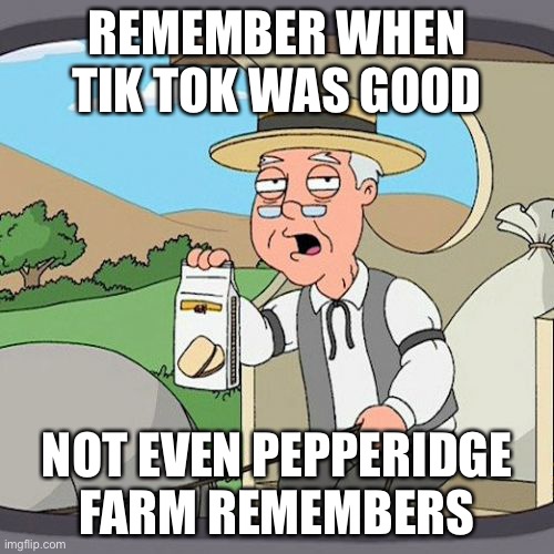 Pepperidge Farm Remembers Meme | REMEMBER WHEN TIK TOK WAS GOOD; NOT EVEN PEPPERIDGE FARM REMEMBERS | image tagged in memes,pepperidge farm remembers | made w/ Imgflip meme maker