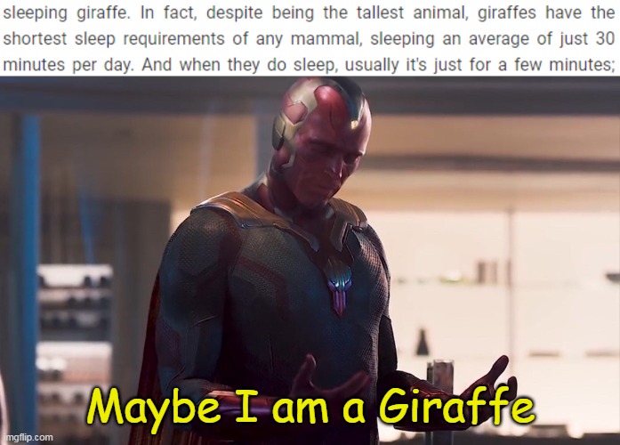 College Students? | Maybe I am a Giraffe | image tagged in maybe i am a monster,sleep,giraffe,college,students | made w/ Imgflip meme maker