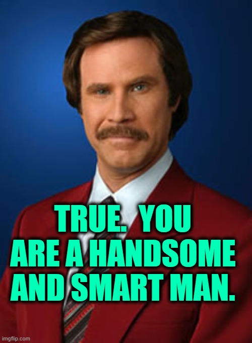 TRUE.  YOU ARE A HANDSOME AND SMART MAN. | made w/ Imgflip meme maker