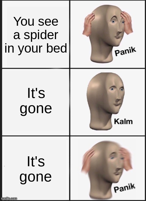 Panik Kalm Panik | You see a spider in your bed; It's gone; It's gone | image tagged in memes,panik kalm panik | made w/ Imgflip meme maker