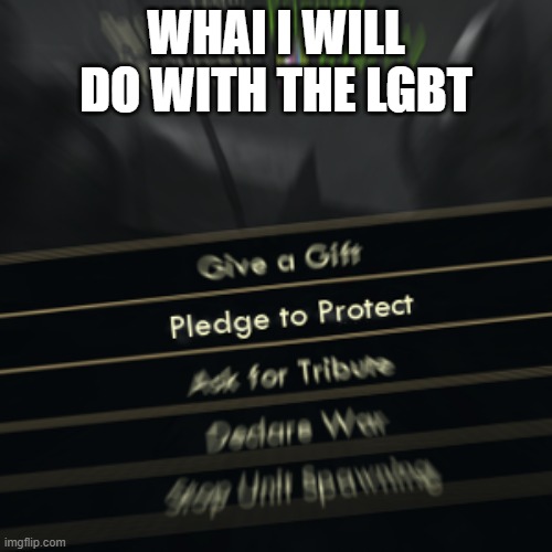 Summary of what i would do | WHAI I WILL DO WITH THE LGBT | image tagged in pledge to protect | made w/ Imgflip meme maker