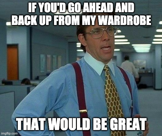 Please Do Not Touch my stuff | IF YOU'D GO AHEAD AND BACK UP FROM MY WARDROBE; THAT WOULD BE GREAT | image tagged in memes,that would be great | made w/ Imgflip meme maker